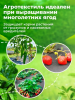 Укрывной материал 80мкм 3,2*10м черный