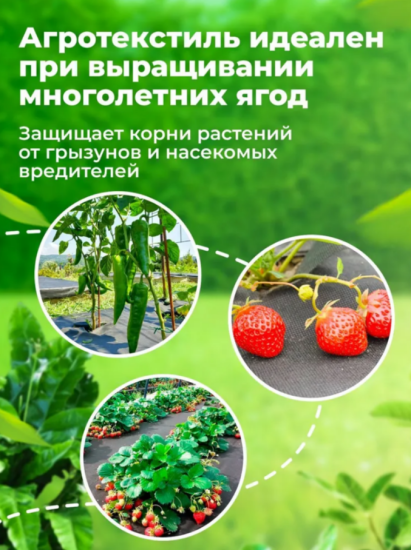Укрывной материал 80мкм 3,2*10м черный