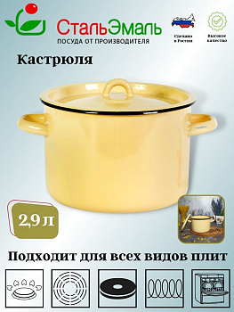 Кастрюля 2,9л цил. 2с16/1 без рис. крем.