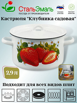 Кастрюля 2,9л цил. 1с16с/1 белосн. Клубника садовая