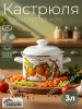 Кастрюля 3,0л 16124 АП2 "Фруктовая фантазия"