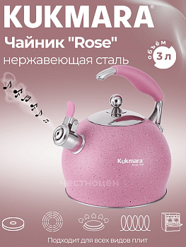 Чайник из нержавеющей стали, со свистком,3л, Роза Ч-05