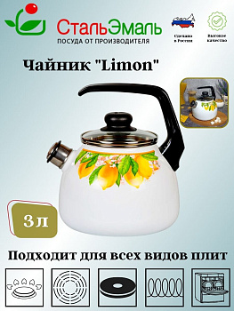 Чайник для плиты 3,0л 1RС12 Лайм белосн. со св.  