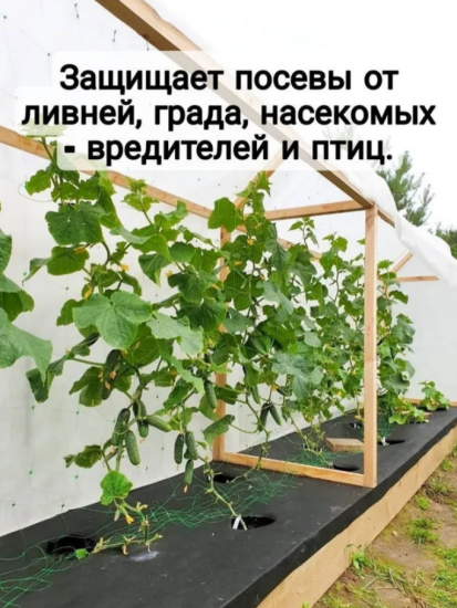 Укрывной материал 80мкм 3,2*10м белый