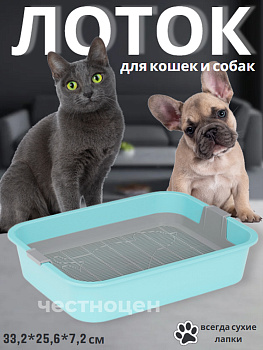 Лоток "Мур-мяу" (с сеткой)(голубой) М7848