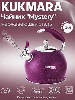 Чайник из нержавеющей стали, со свистком,3л, Аметист Ч-02
