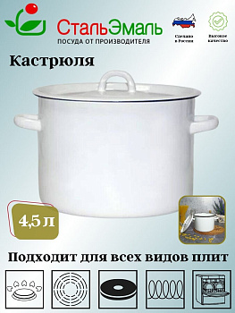 Кастрюля 4,5л 2с17 без рис.белосн.