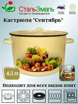 Кастрюля 4.5л 1с17/с крем. Сентябрь