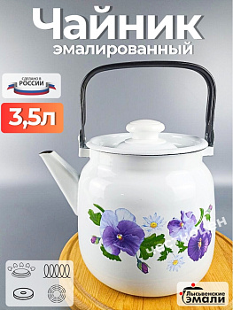 Чайник для плиты 3,5л С-2713П2/4Рч Анютины глазки