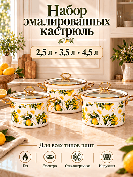 Набор посуды эмалированной 20-22-24см OLS-LY-33