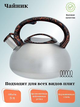 Чайник для плиты 3,0л нержавеющая сталь WEBBER ВЕ-0594 со свистком  сатин 