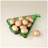 БЛЮДО CELEBRATION GREEN 20,5*16*2,5 СМ (355-363)