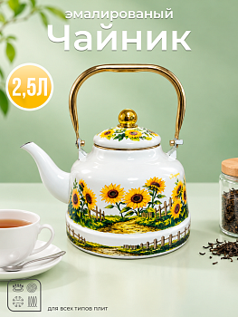 Чайник эмал. 2,5л OLS-LY-6