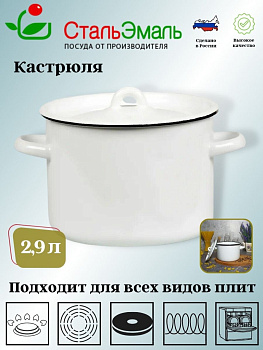 Кастрюля 2,9л цил белосн. 2с16/1
