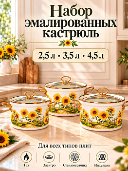 Набор посуды эмалированной 20-22-24см OLS-LY-34