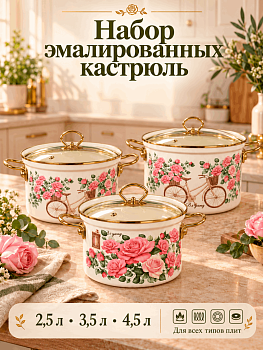 Набор посуды эмалированной 20-22-24см OLS-LY-46