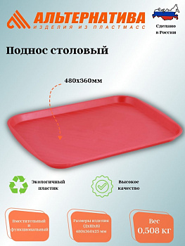 Поднос столовый 480*360 пластмассовый М211