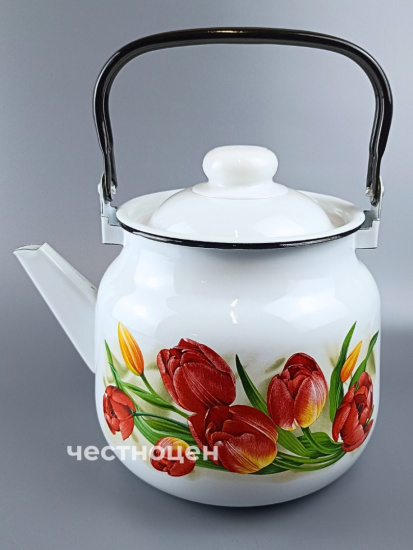Чайник для плиты 3,5л 01-2713/4 Тюльпаны